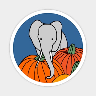 Elephant Protecting the Pumpkins Magnet